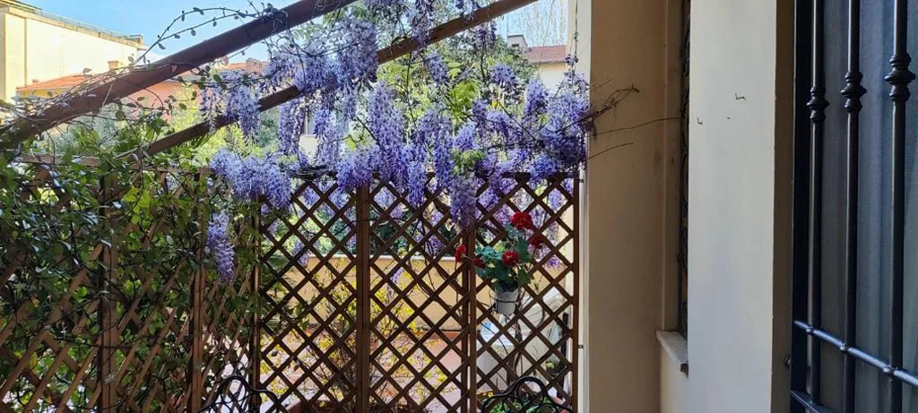Le Nove Muse Guesthouse — foto 7