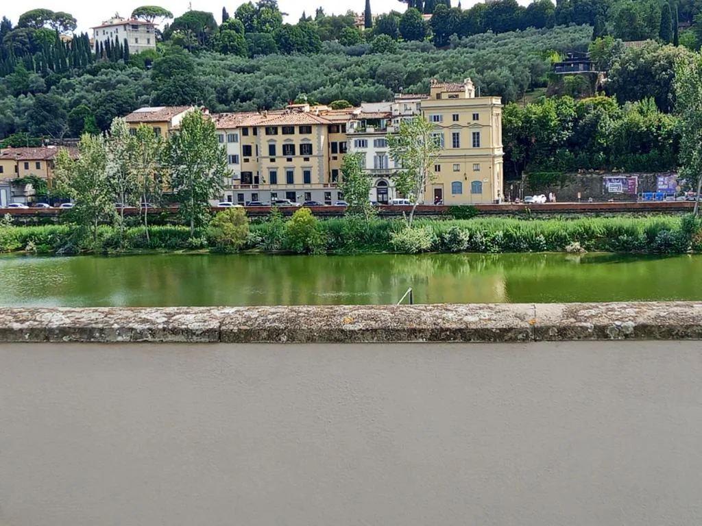 LE RÊVE DE NAIM Firenze — foto 5