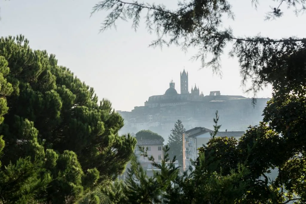 Monolocale Standard — Borgo Villa Risi