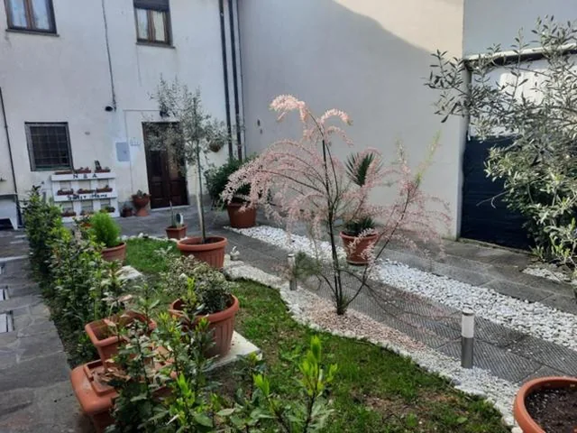 N. & A. Sweet Home — foto 5