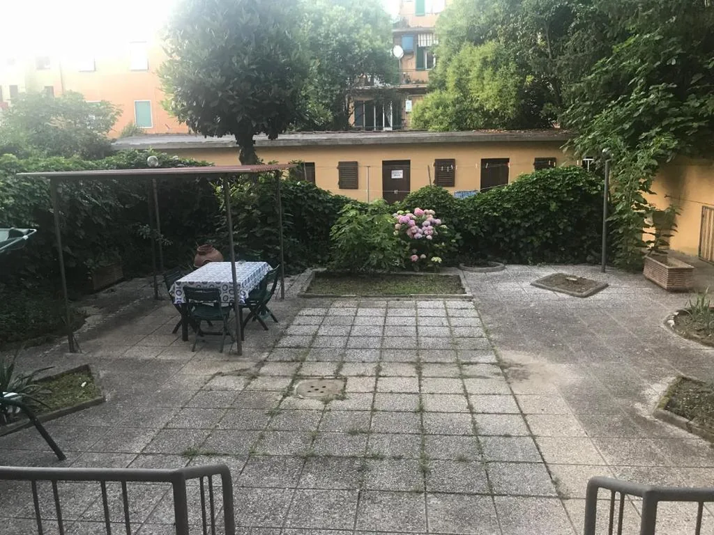 Near It All 2 — foto 5