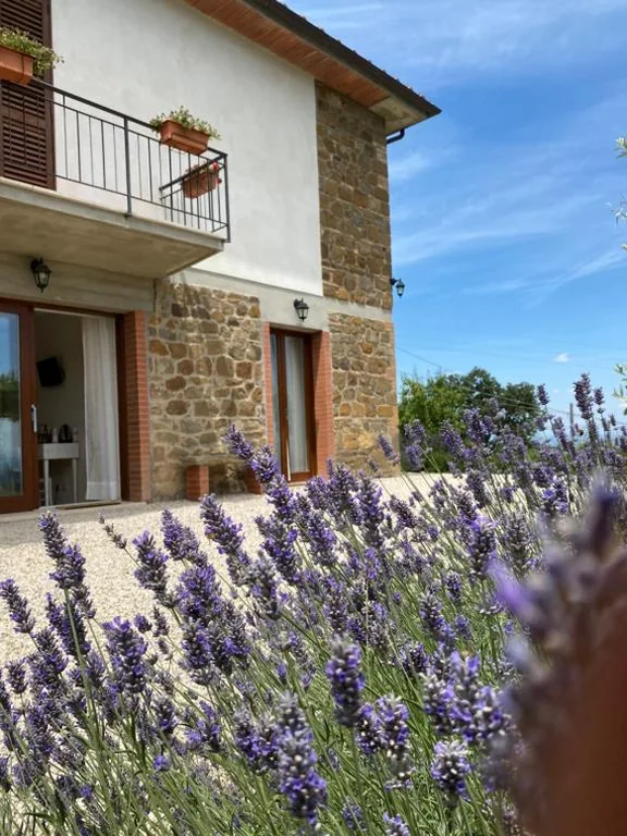 Podere Belsogno-Camera rosmarino — foto 7