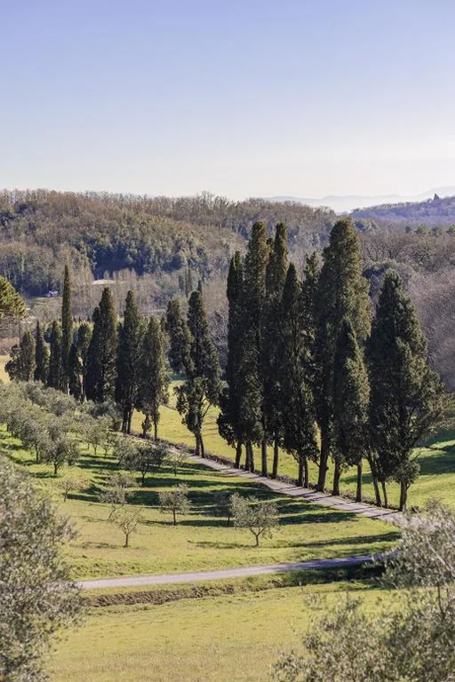 Rivo della Corte — foto 8