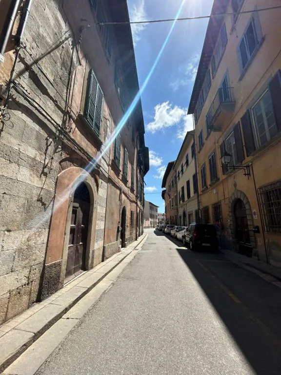 Rose et Pier — foto 7