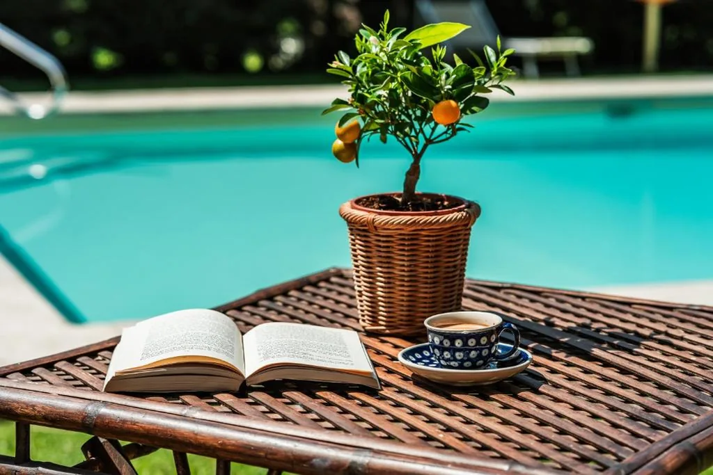 Rovezzano B&B