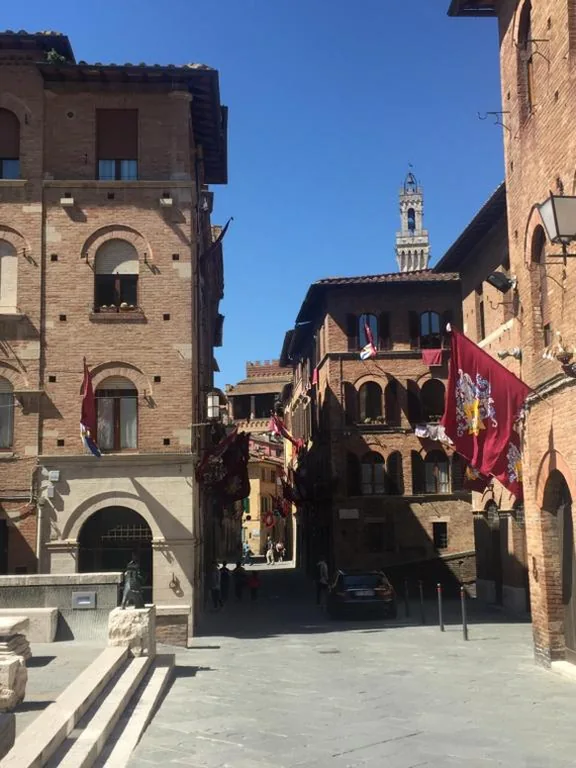 Salicotto 56 — foto 4