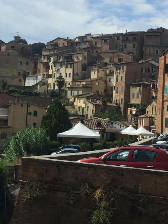 Salicotto 56 — foto 6