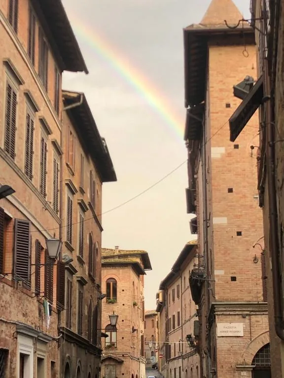 Salicotto 56 — foto 8