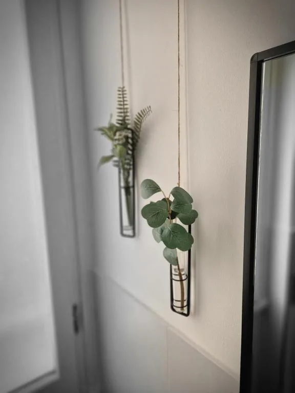 Stradivarious — foto 7