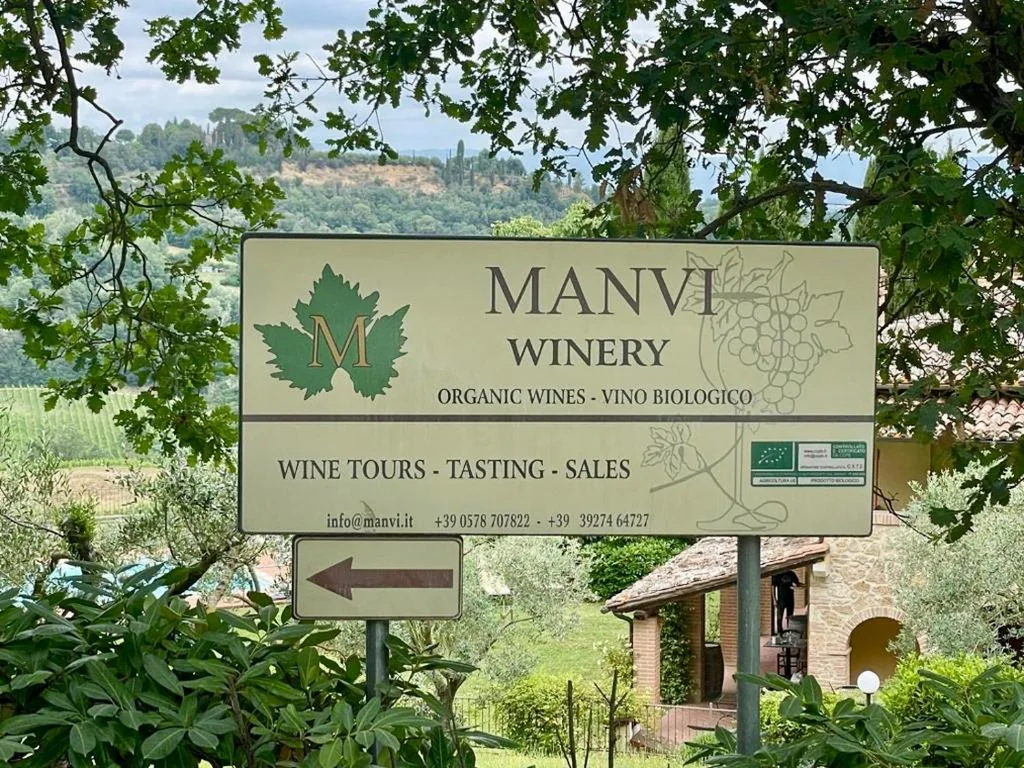 The Grapevine by MANVI — foto 8