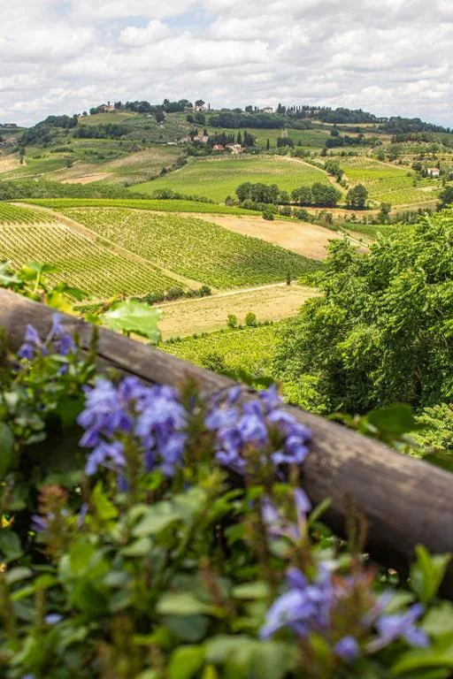 Torciano Hotel Wine & Winery, Tuscany — foto 8