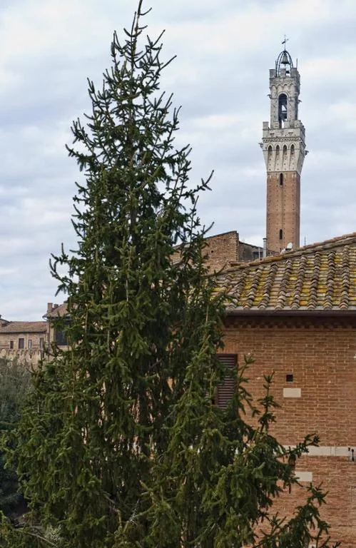 Vicolo Dell’Oro — foto 7