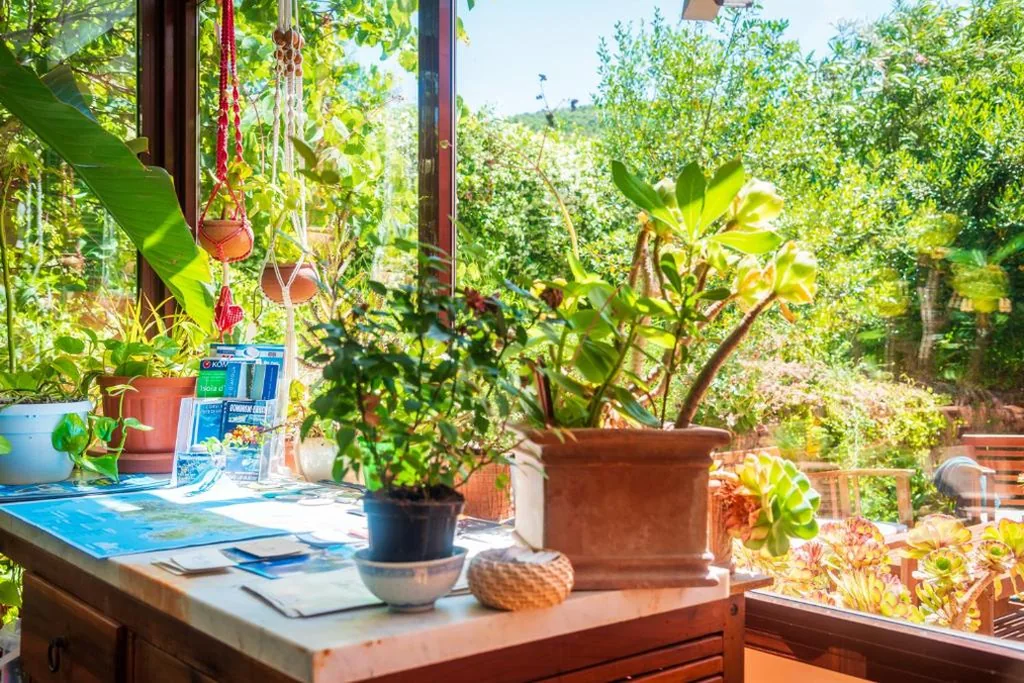 Villa Gaia — foto 6