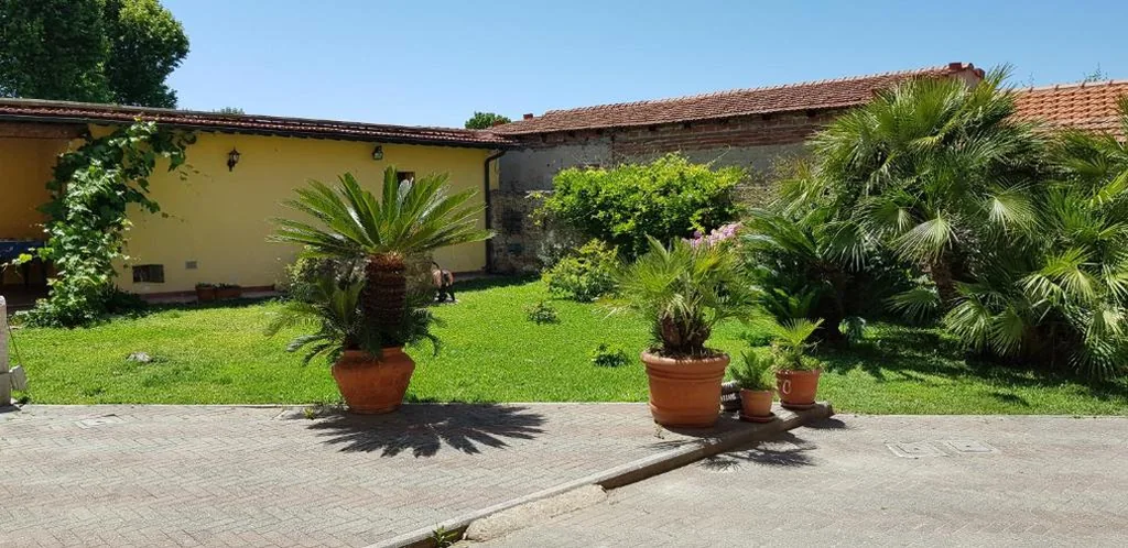 Villa il Lauro — foto 6