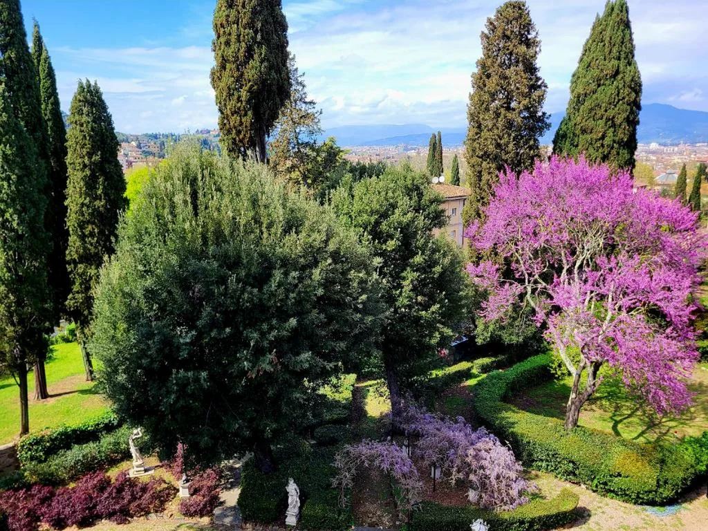 Villa Nardi – Residenza D’Epoca — foto 8