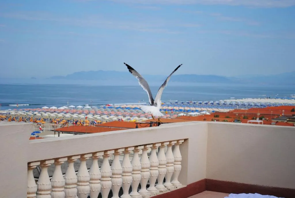 Villa Tina Hotel — foto 7