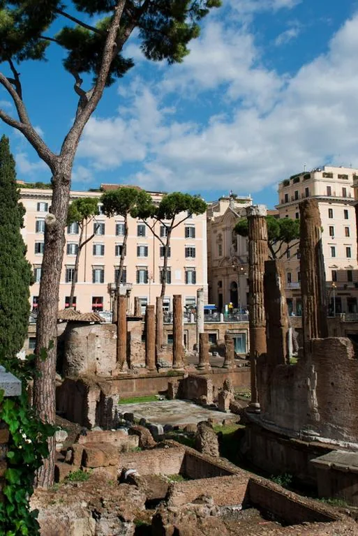 Town House Campo De Fiori — foto 5