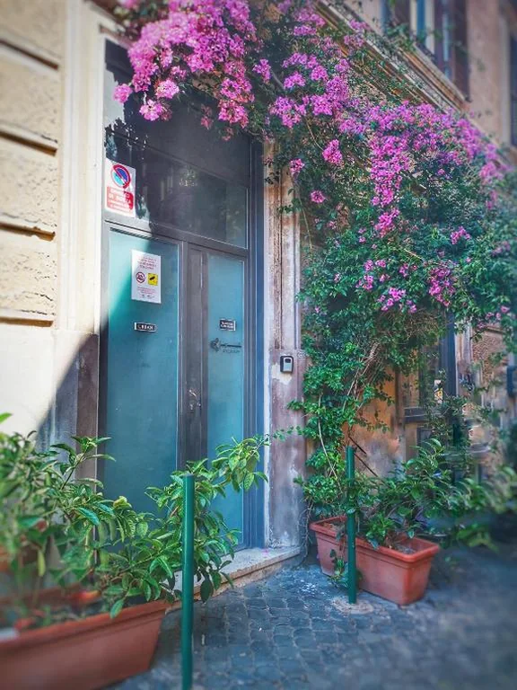 Trastevere Glasshouse — foto 8