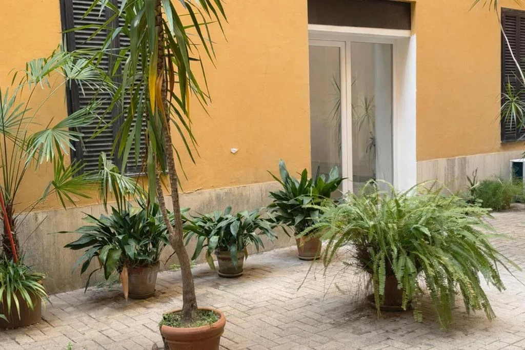 Trastevere luxury suites — foto 5