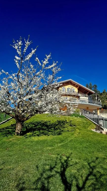 Affittacamere Dolce Sogno