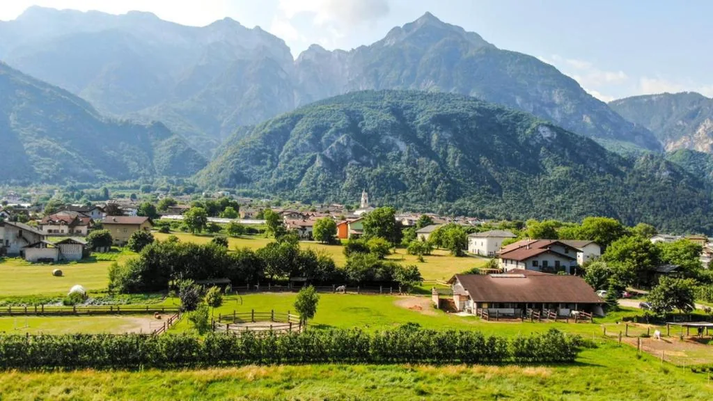 Agritur Airone Bed & Camping — foto 6