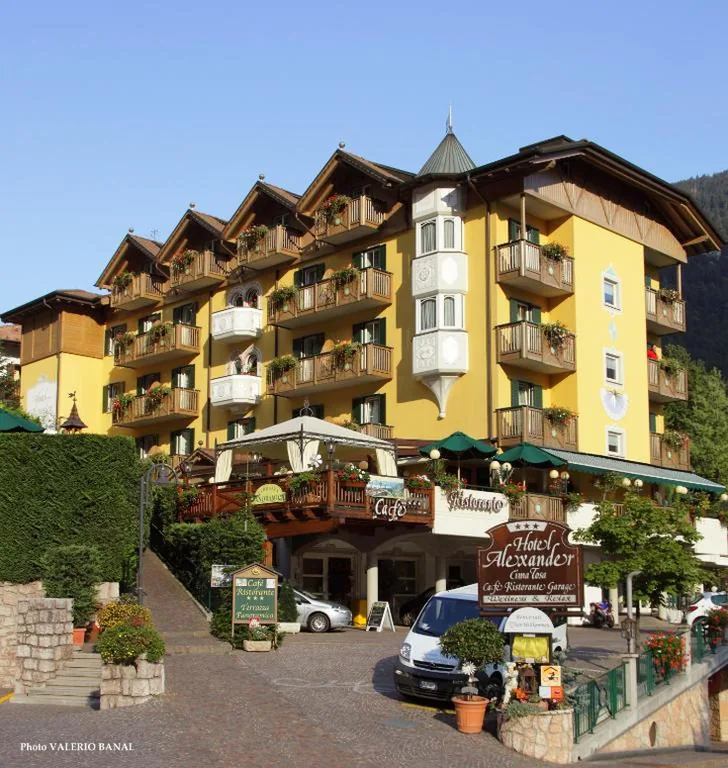 Alexander Hotel Alpine Wellness Dolomites — foto 7
