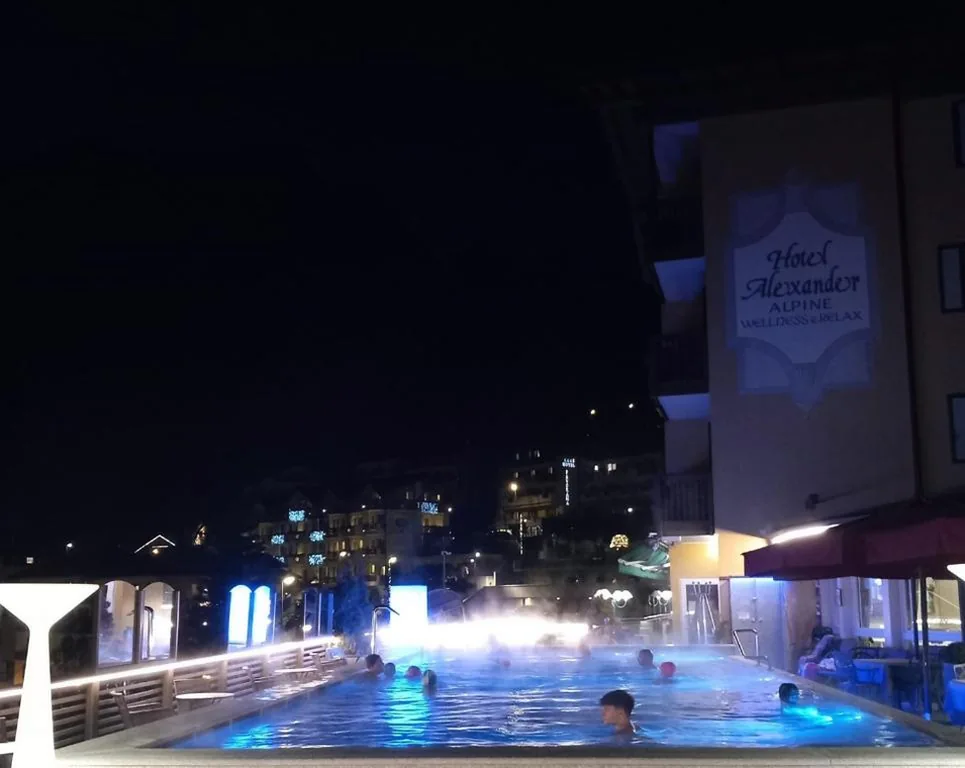 Alexander Hotel Alpine Wellness Dolomites — foto 8