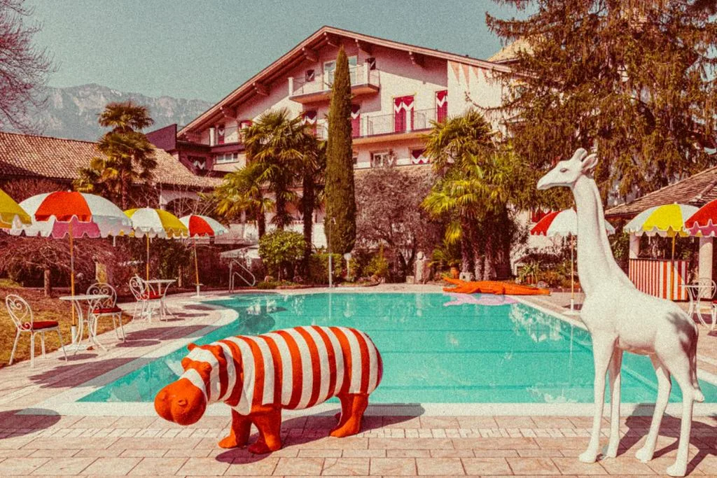 Amadeus Ora & Amore — foto 4