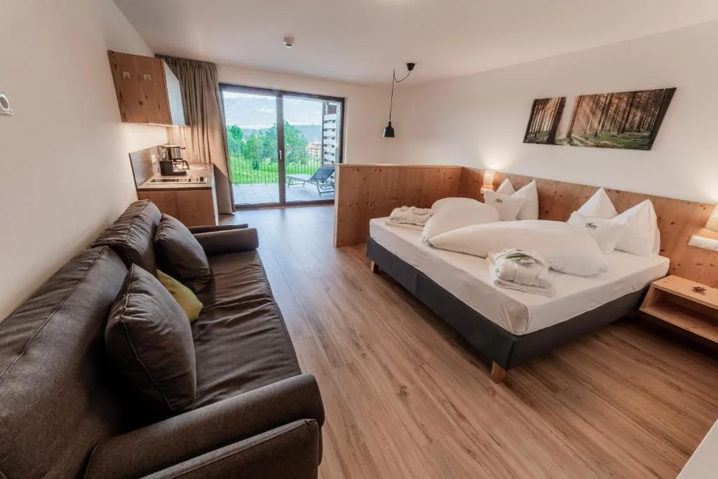 Appartamento con 1 Camera da Letto — B&B Boutique Apartment Oberwiesen