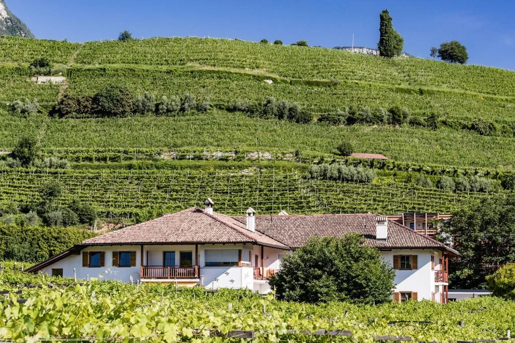 Appartamento con 2 Camere da Letto e Vista Lago — Kalterer See Hof