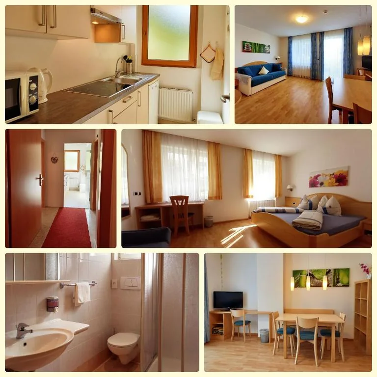 Apartment with Terrace — Hotel Garni Grüner Baum (Albero Verde)