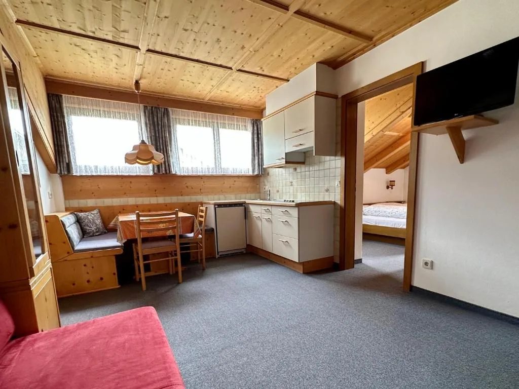 Apartment with Mountain View — APARTMENTS Gasser