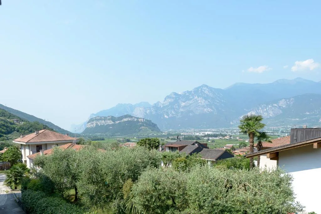B&B agli Ulivi — foto 5