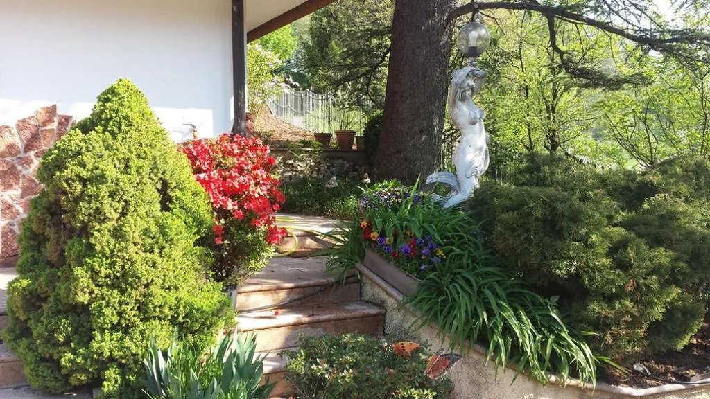 B&B Al Cedro — foto 6