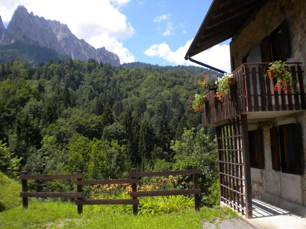 B&B DOLOMIA — foto 5