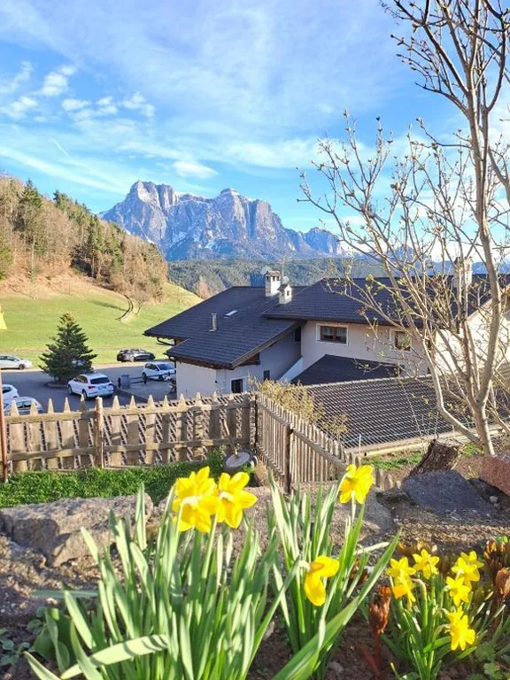 B&B Gasthaus Lieg — foto 7