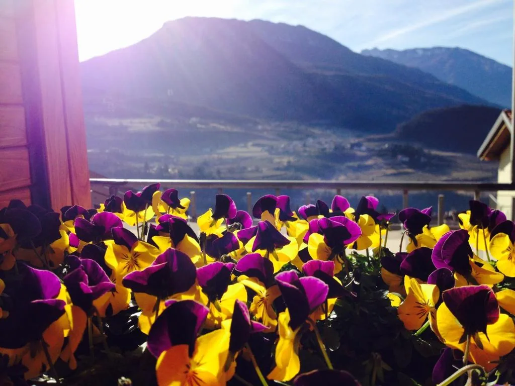 B&B L’edera — foto 8