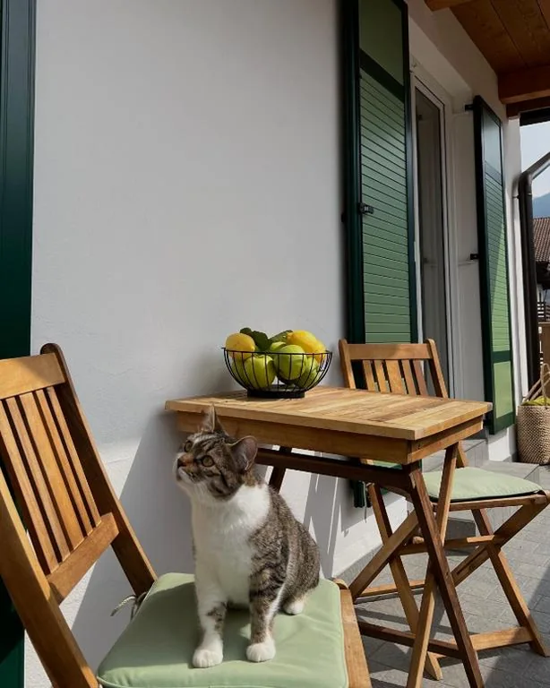 B&B La Casa del Sole — foto 4