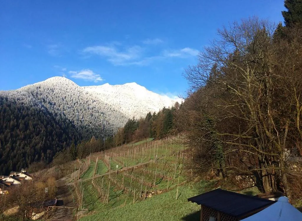 B&B La Marmotta — foto 7