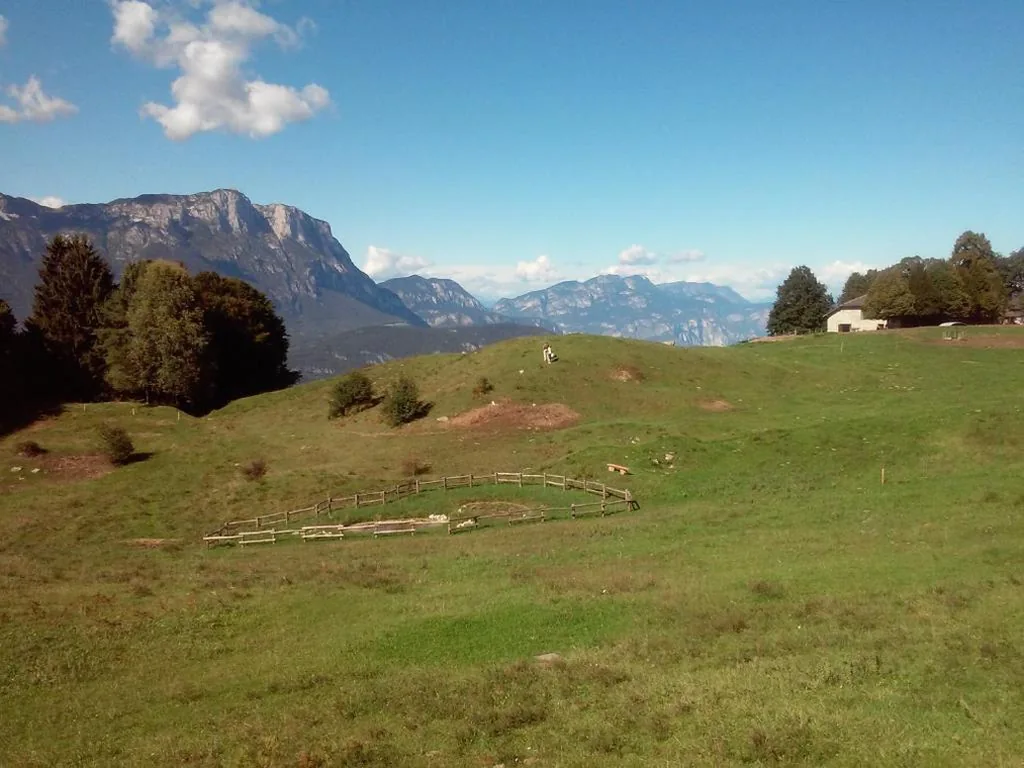 B&B Trento Nord — foto 6