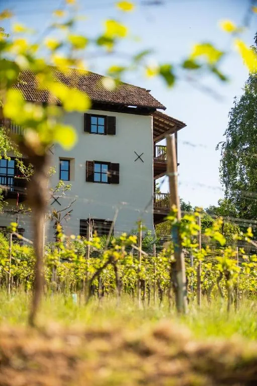 B&B Unterhabsbergerhof — foto 8