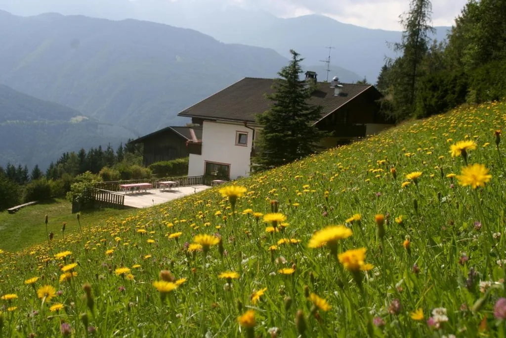Biogasthaus Plonerhof “sweet Dolomites view” — foto 8
