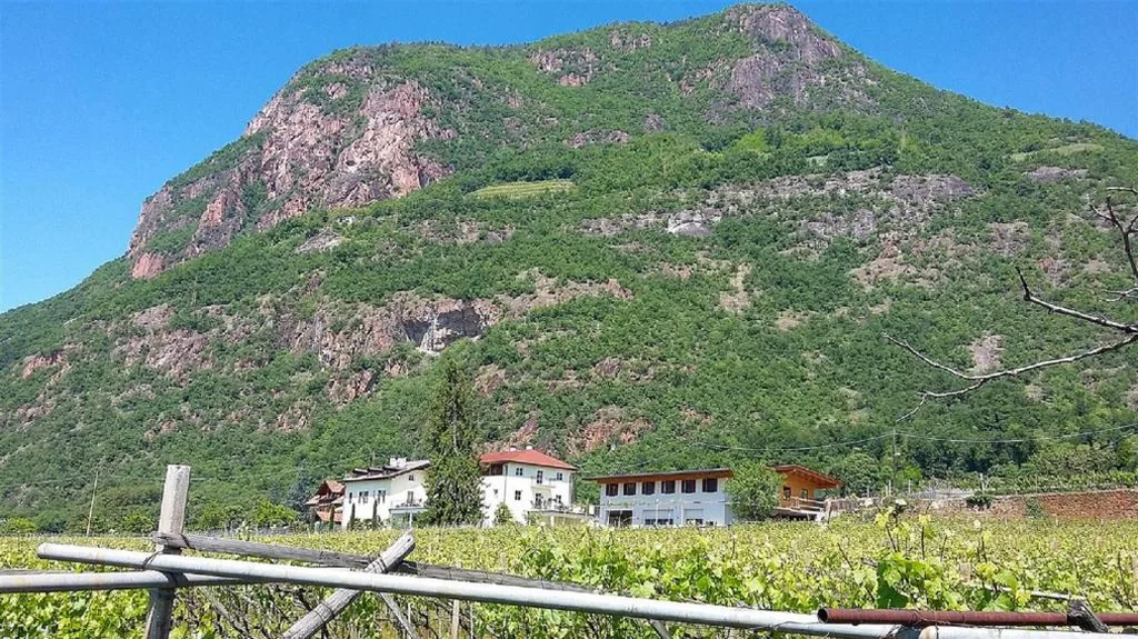 Brandlgut — foto 8