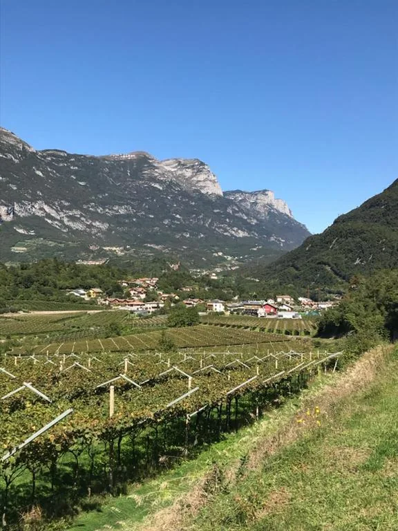 Cà dei fiori — foto 5