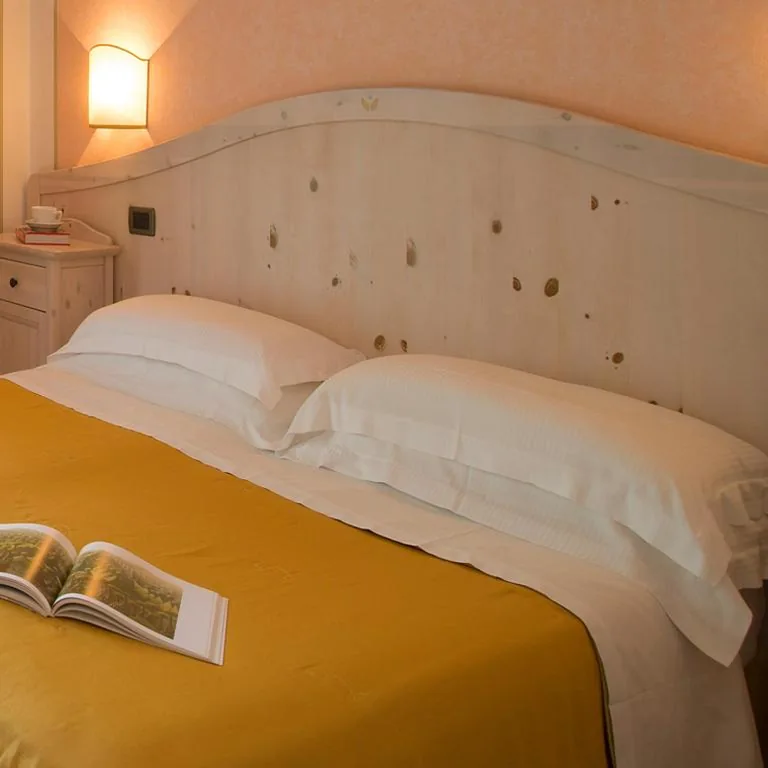 Camera Matrimoniale Basic — Hotel Du Lac