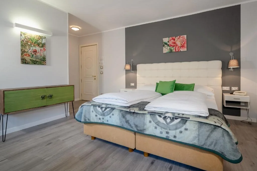 Camera Matrimoniale Comfort con Vista Strada — Hotel Aster