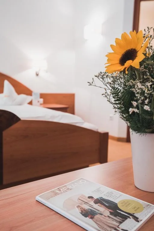 Comfort Double Room — Hotel Am Sonneck