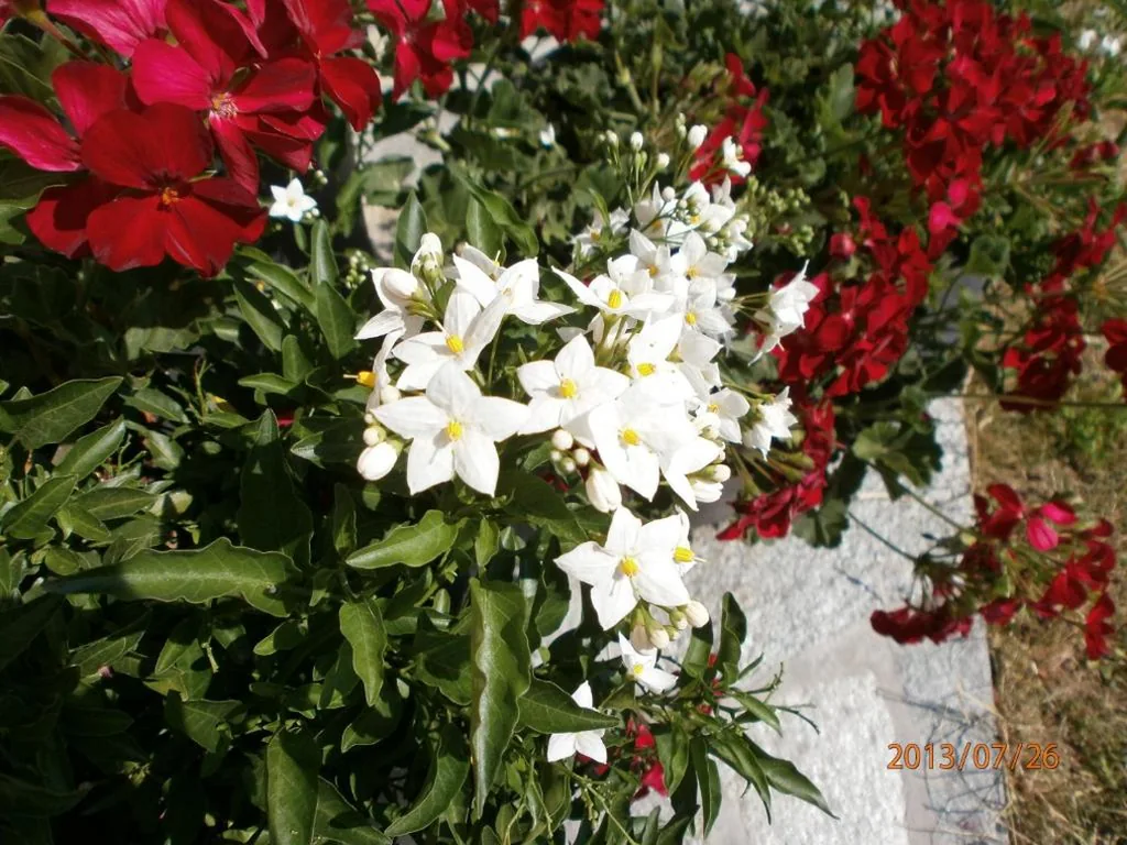 Camera Matrimoniale con Balcone — Garni Hattlerhof B&B