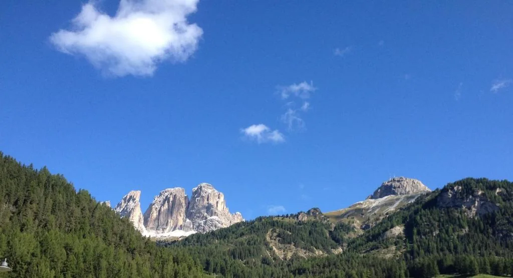 Camera Matrimoniale con Vista Montagna — Hotel Alpi