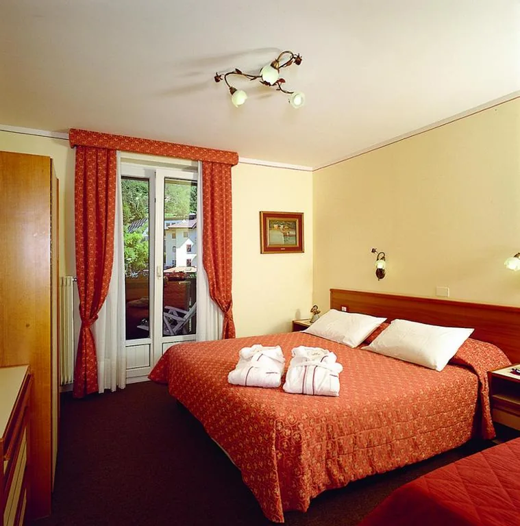 Double/Twin Room with Lake View — Hotel des Alpes